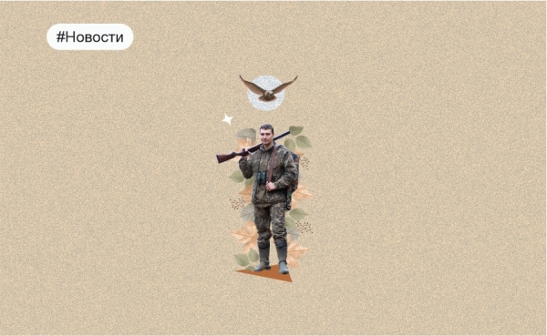 Строительство в лесу